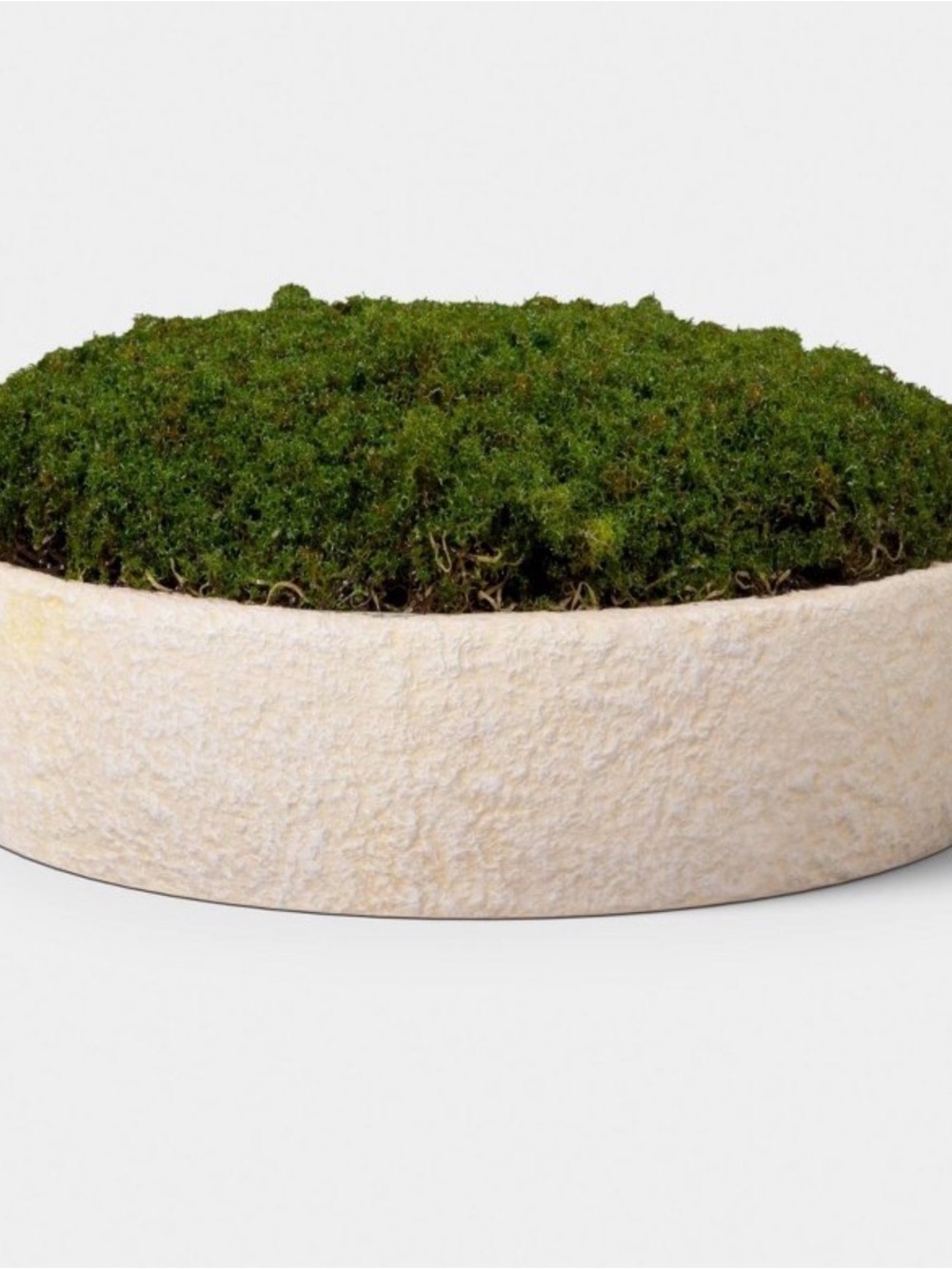 Small Moss Bowl - Threshold™